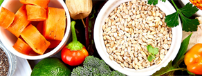 Nutrition in Geriatrics-focused Continuing Medical Education