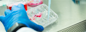 Florida Senate Mandates Sickle-cell Continuing Education for Certain Health Professionals