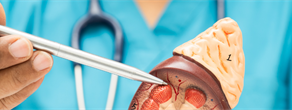 Continuing Medical Education in Renal Pathology: Current Practices and Needs Among Nephrologists