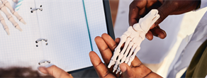 Osteopathic Medical Schools Warn of Fallout From Federal Shutdown