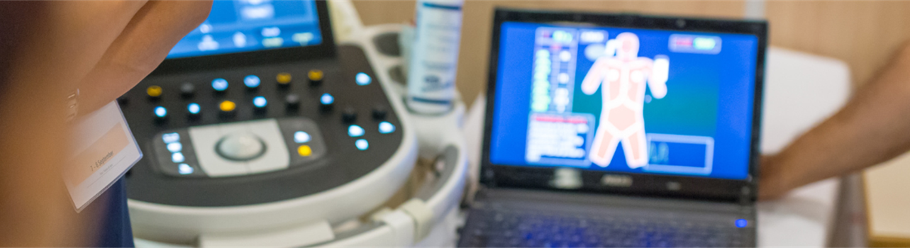 Pilot Evaluation of AI-Driven Simulation for Communication in Palliative and Hospice Care: Preliminary Insights From a Small-scale Study