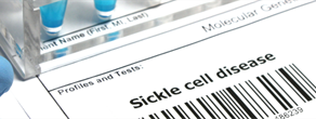 Adherence Unveiled: A Concept Analysis of Medication Adherence in Adult Patients with Sickle Cell Disease