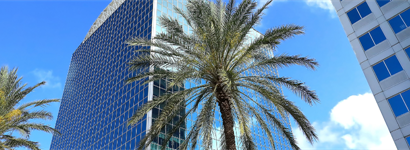 Expanding Perspectives: Day 1 at #Alliance25