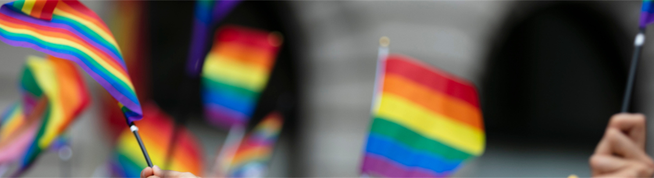 Improving Patient Care for the LGBTQ+ Community Through Continuing Education