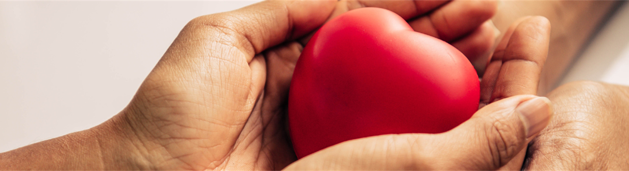 The Art of Equanimity: Practicing Presence in a Stress-filled World
