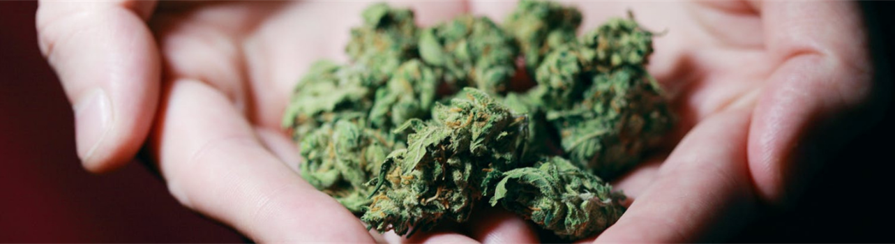 Healthcare Professionals Want More Training to Address Increase in Perinatal Cannabis Use, Study Finds