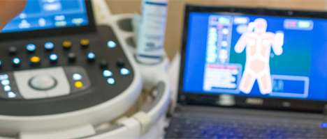 Pilot Evaluation of AI-Driven Simulation for Communication in Palliative and Hospice Care: Preliminary Insights from a Small-Scale Study