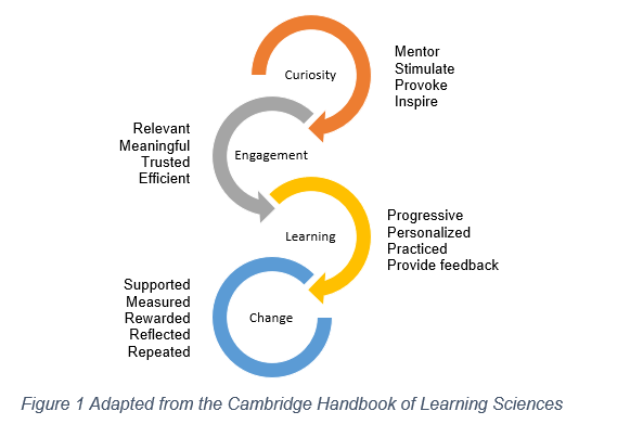Process of Learning figure 1.png